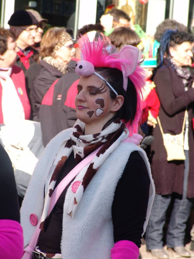 Fasend Umzug Dienstag — Narrenzunft Zell am Harmersbach 2012