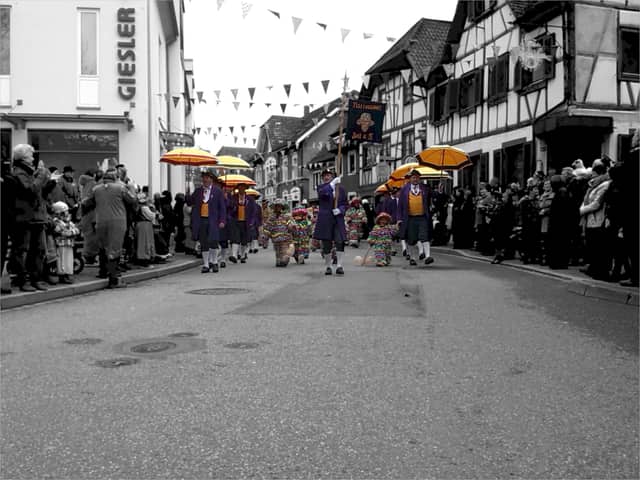 Fasend Umzug Dienstag — Narrenzunft Zell am Harmersbach 2014