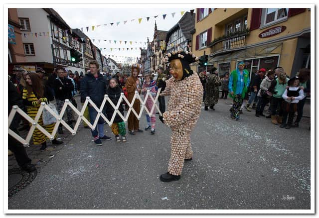 Fasend Umzug Sonntag — Narrenzunft Zell am Harmersbach 2014