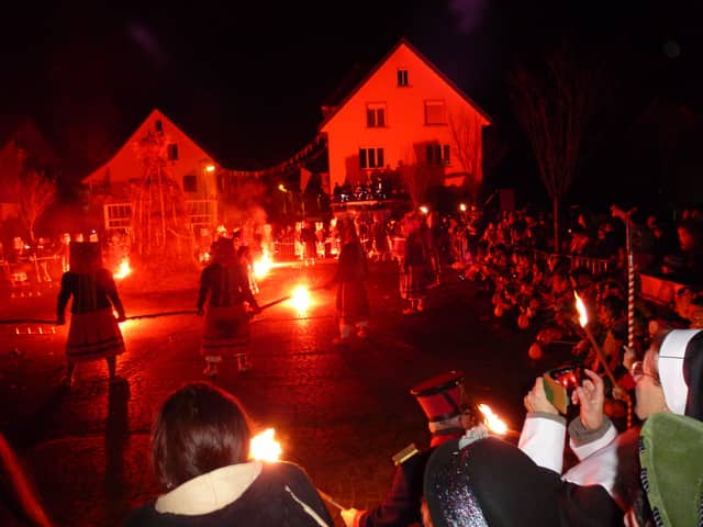 Narrentreffen Hausach — Narrenzunft Zell am Harmersbach 2014