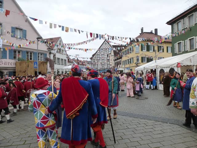 Narrentreffen Tettnang — Narrenzunft Zell am Harmersbach 2014