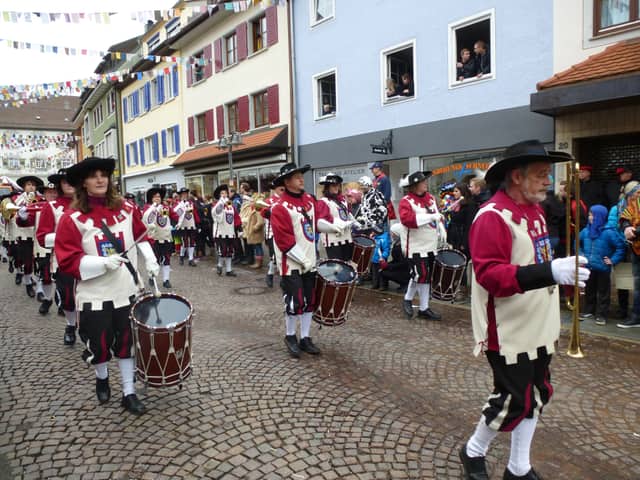 Narrentreffen Tettnang — Narrenzunft Zell am Harmersbach 2014
