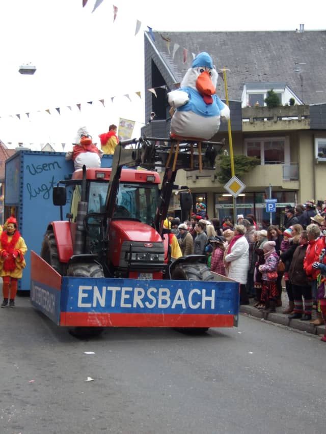 Fasend Umzug Dienstag — Narrenzunft Zell am Harmersbach 2015