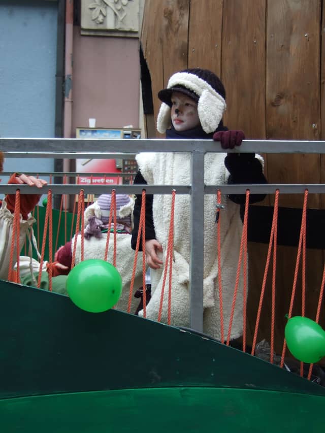Fasend Umzug Dienstag — Narrenzunft Zell am Harmersbach 2015