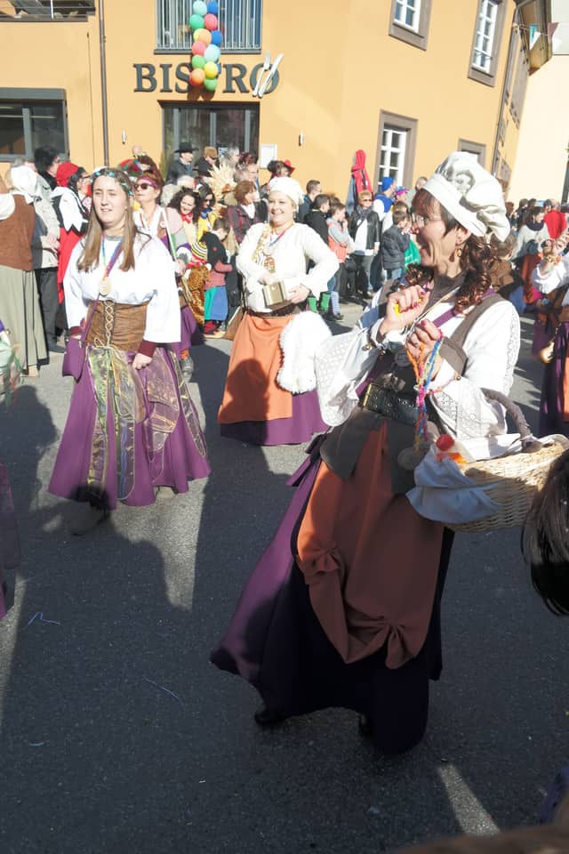 Fasend Umzug Sonntag — Narrenzunft Zell am Harmersbach 2017