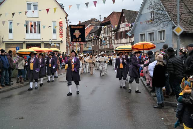 Fasend Umzug Sonntag — Narrenzunft Zell am Harmersbach 2018