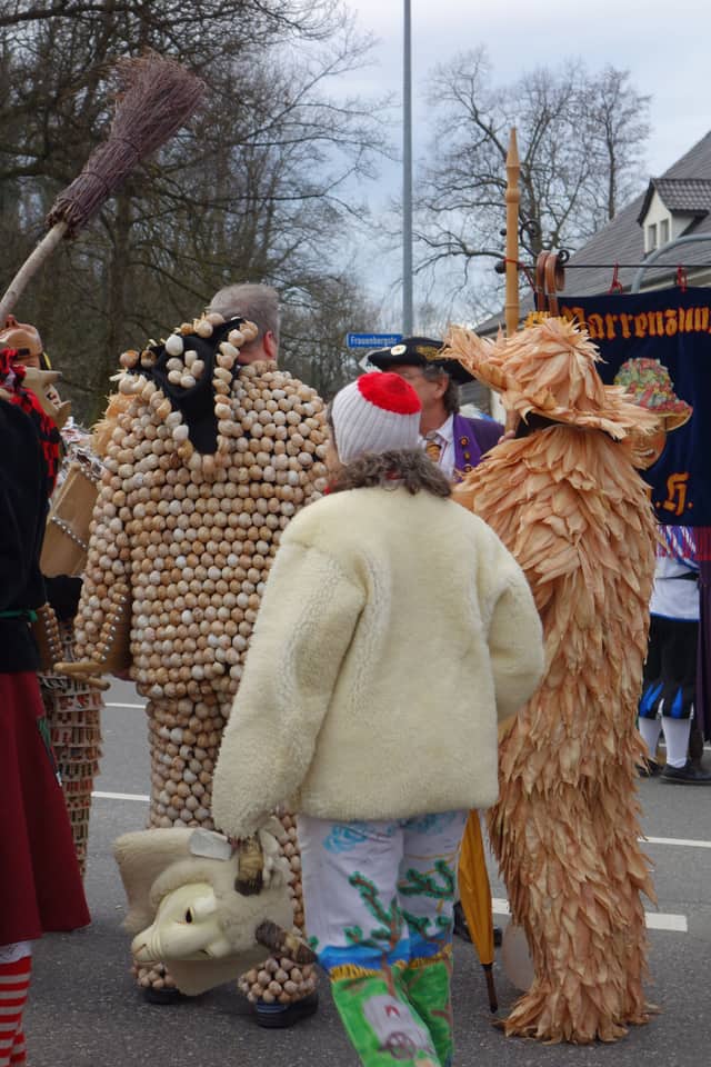 Narrentreffen Bad Waldsee — Narrenzunft Zell am Harmersbach 2018