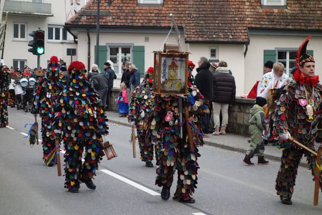 Narrentreffen Bad Waldsee — Narrenzunft Zell am Harmersbach 2018