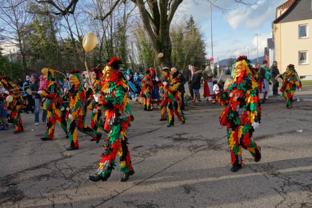 Narrentreffen Gengenbach — Narrenzunft Zell am Harmersbach 2018