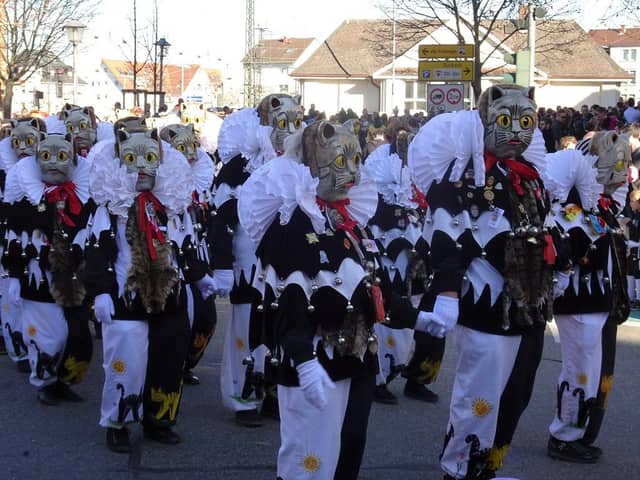 Narrentreffen Offenburg — Narrenzunft Zell am Harmersbach 2019