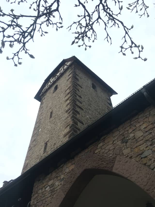 Fasend Sonntag Umzug — Narrenzunft Zell am Harmersbach 2020